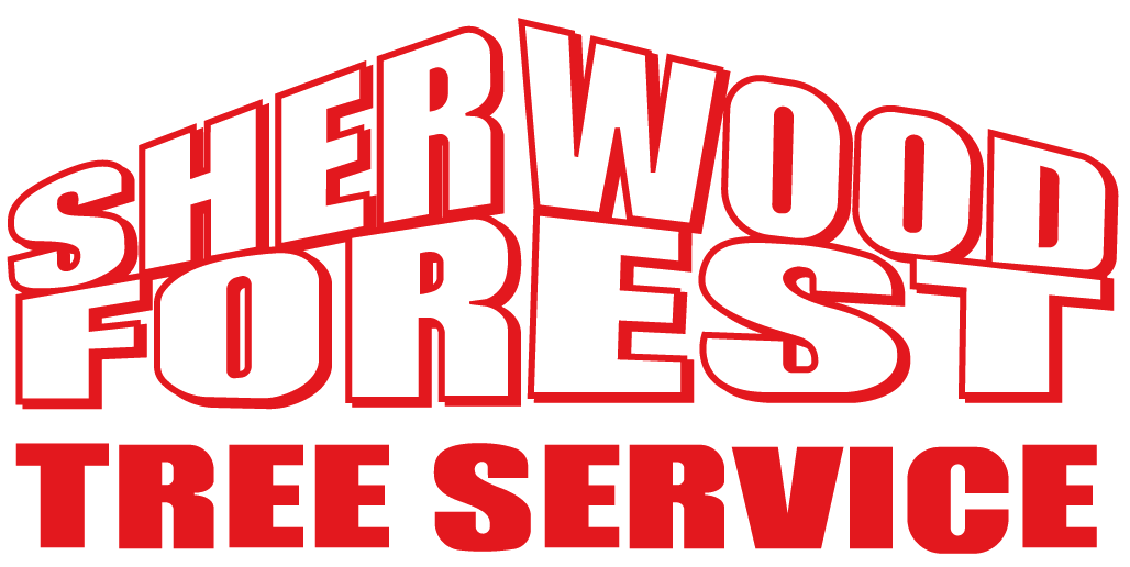 Sherwood Forest Tree Service